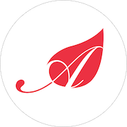 Red logo of acib GmbH inidcating error